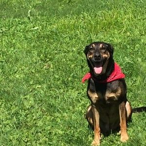 Meet your Posher, Katie